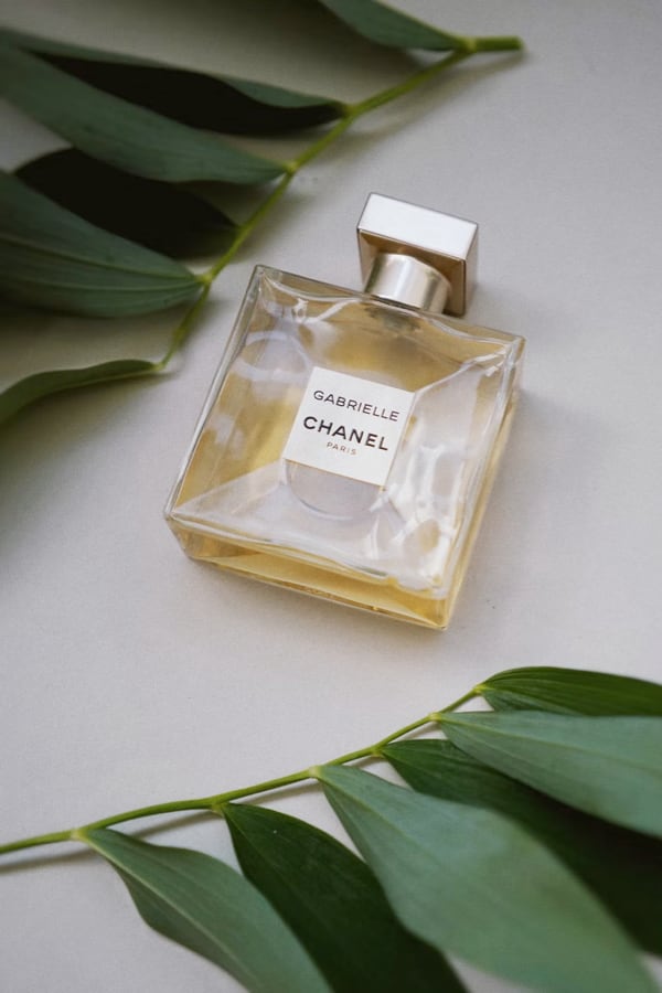 Chanel perfume on table with green leaves